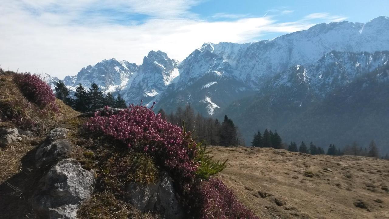 Haus Tirol Apartment Thiersee Bagian luar foto